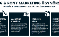 Marketing audit